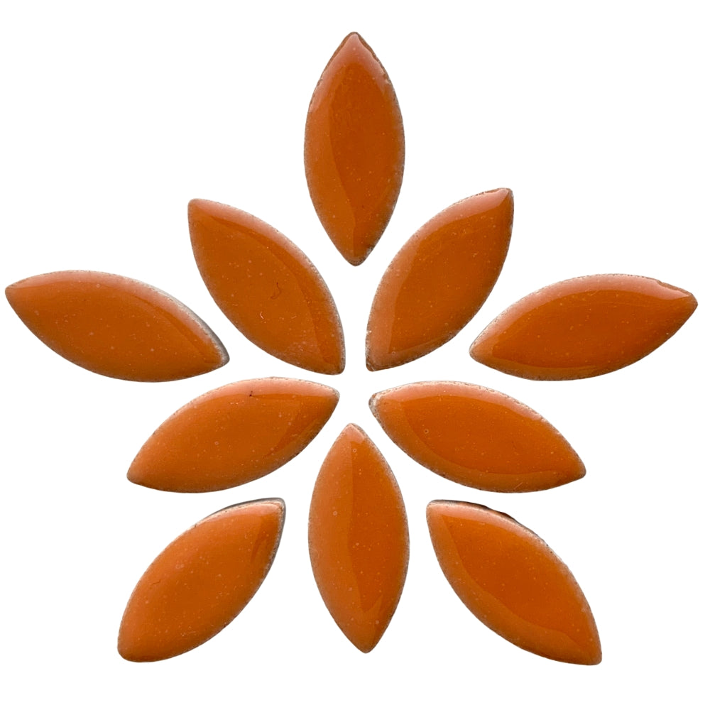 Pétalos 25mm Naranja