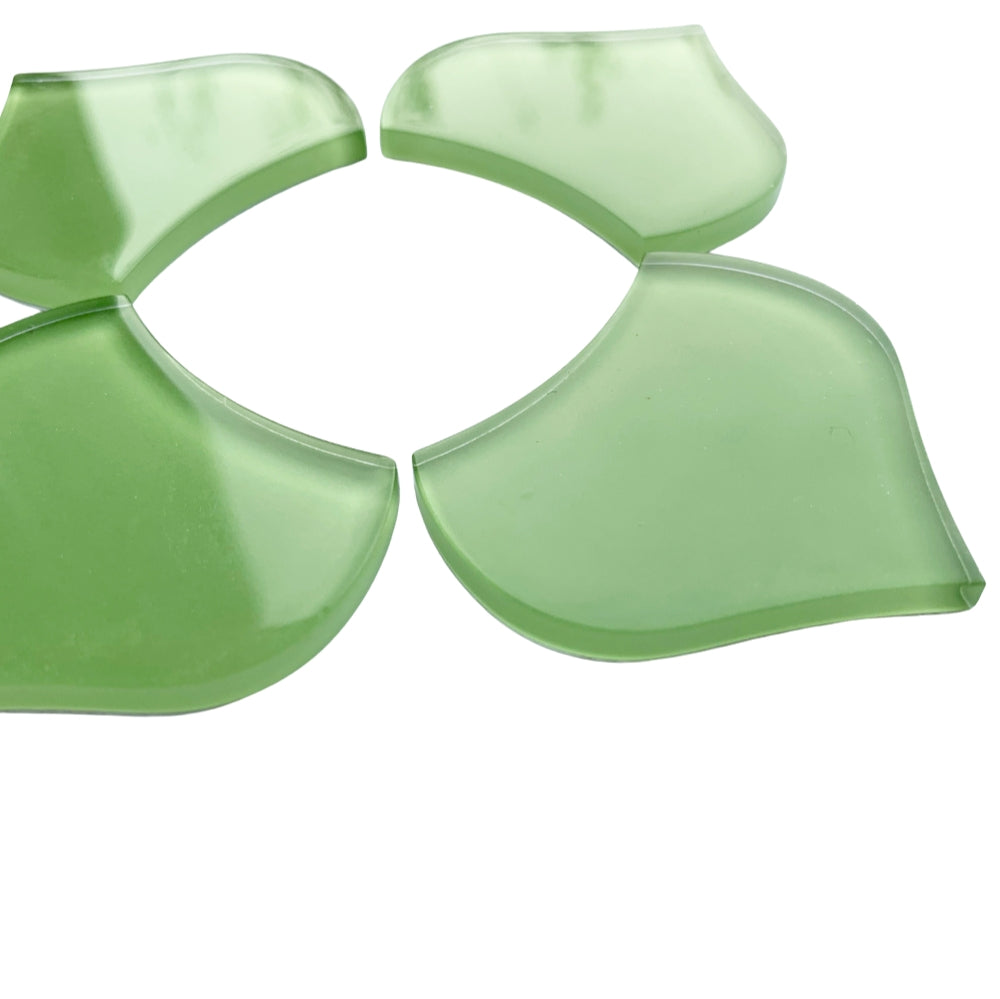 Grande Scaglia di Pesce Verde Fresco