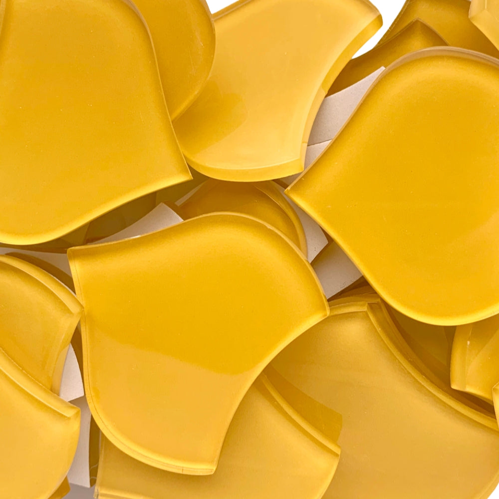 Grande Scaglia di Pesce Mais