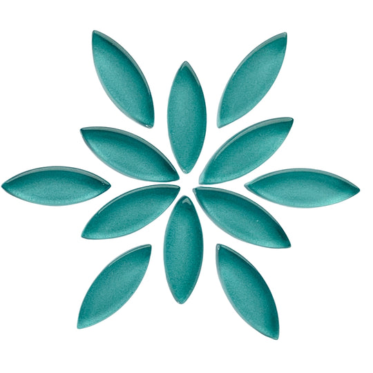 Malé okvětní lístky Světle voda