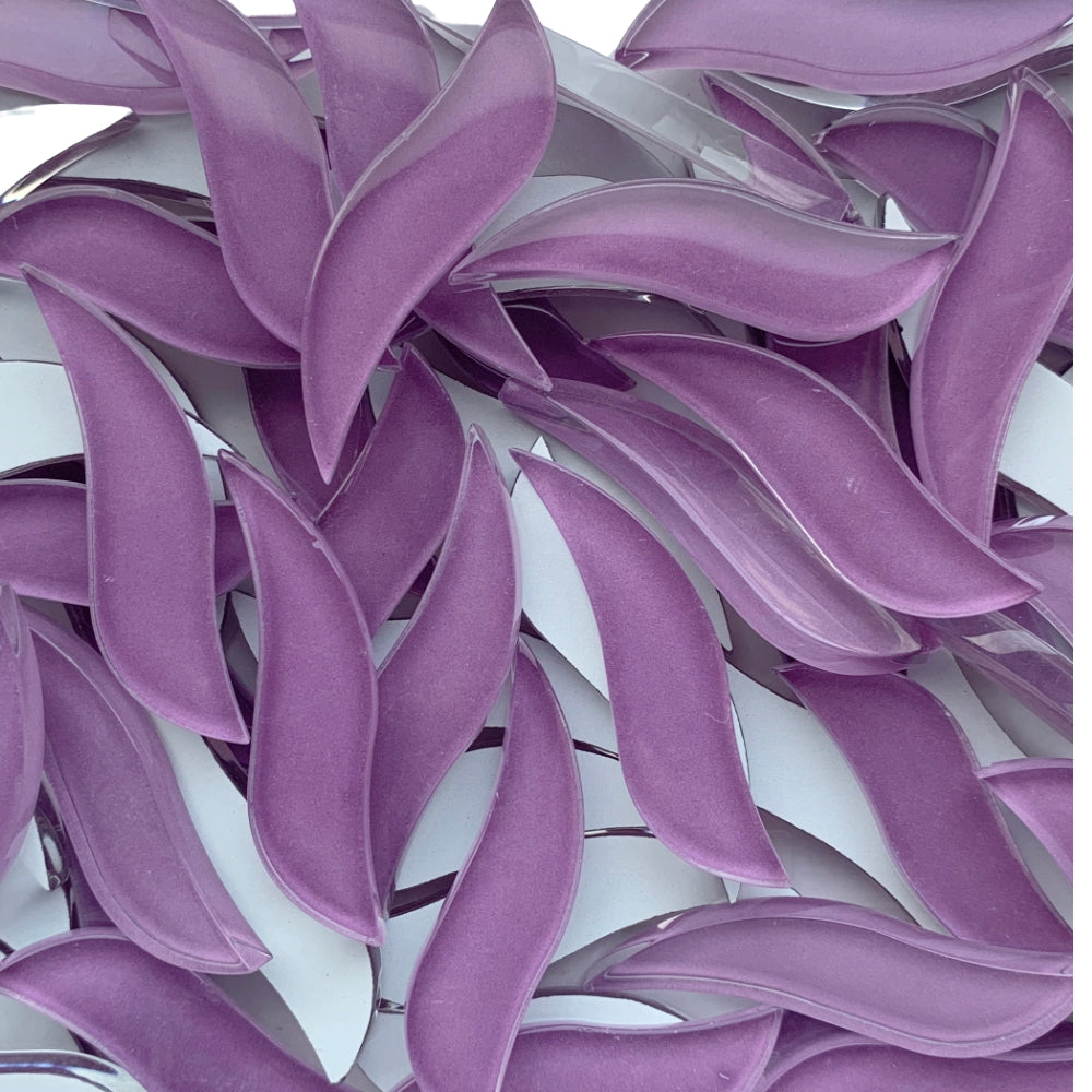 Petali Ondulati Orchidea