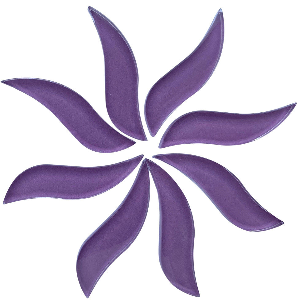 Petali Ondulati Orchidea