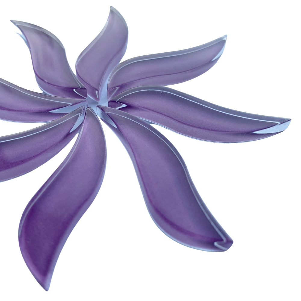 Petali Ondulati Orchidea