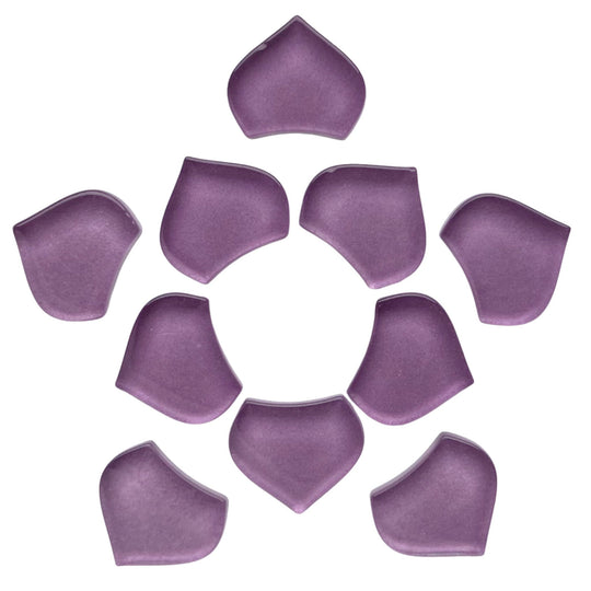 Malá rybí šupina orchidej