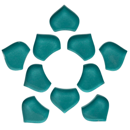 Malá rybí šupina světlo voda