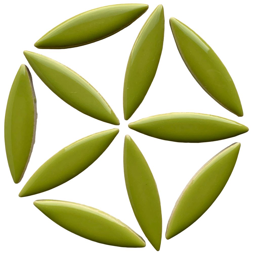 Ceramic Ellipse  Kiwi