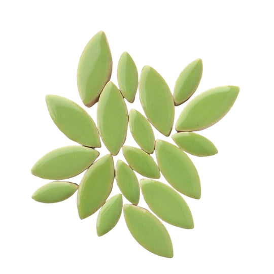 Pétalos Kiwi