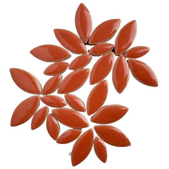 Pétalos Coral