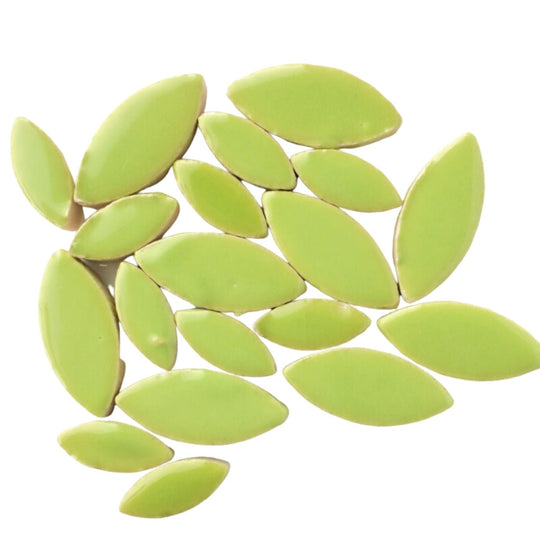 Pétalos Verde Claro