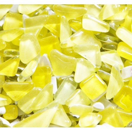 Puzzle di vetro Narcisi