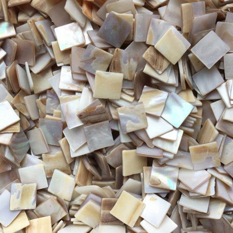 Verre Mosaique - glass mosaic -Glasmosaik-glasmozaïek-Parelmoer Schelp 15mm - mosaicshop