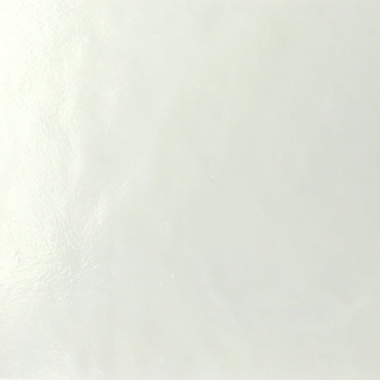 Lastra di vetro Nebbia