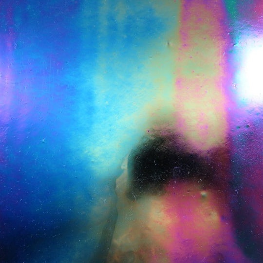 Glass Plate Universe