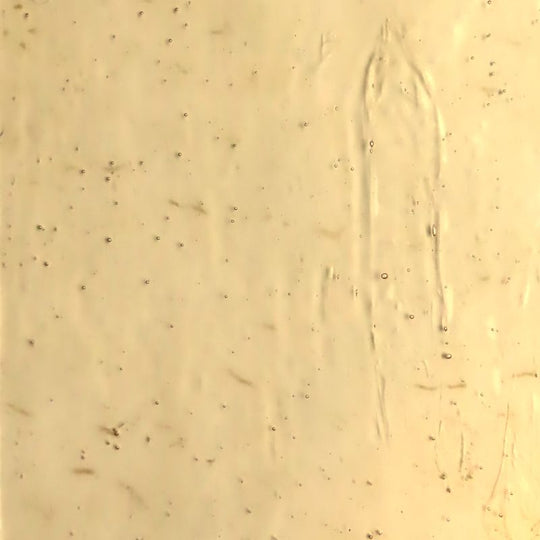 Lastra di vetro Champagne Vetro Antico