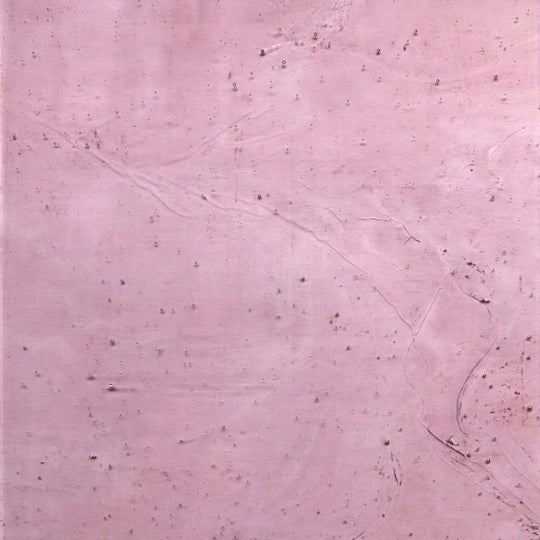 Skleněná deska Světle fialová