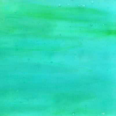 Placa de Vidrio Pez Loro