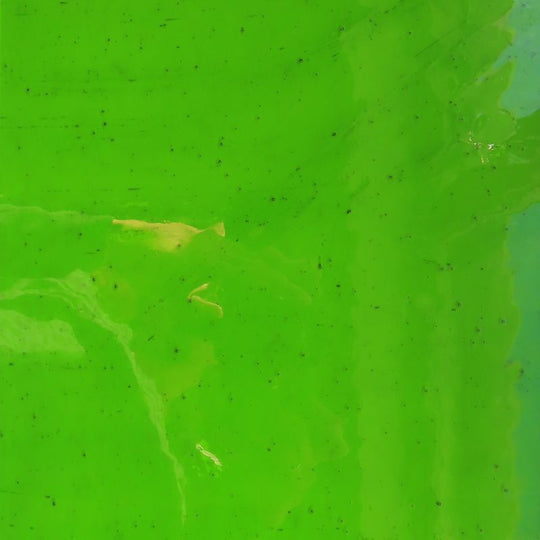 Skleněná deska Tmavý Limetka