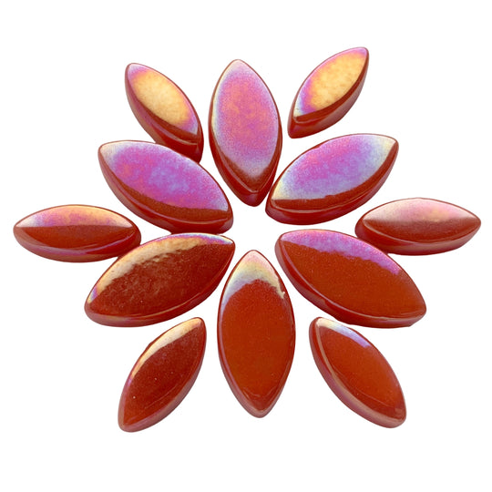 Petals Iridised Watermelon