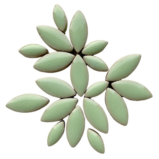 Petali di Menta Piperita