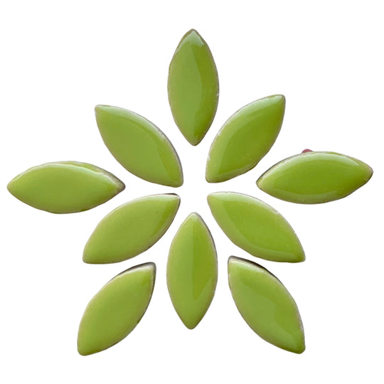 Okvětní lístky 25mm Kiwi