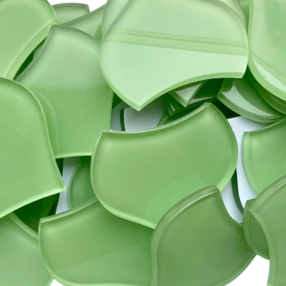 Escama de Pez Grande Verde Fresco