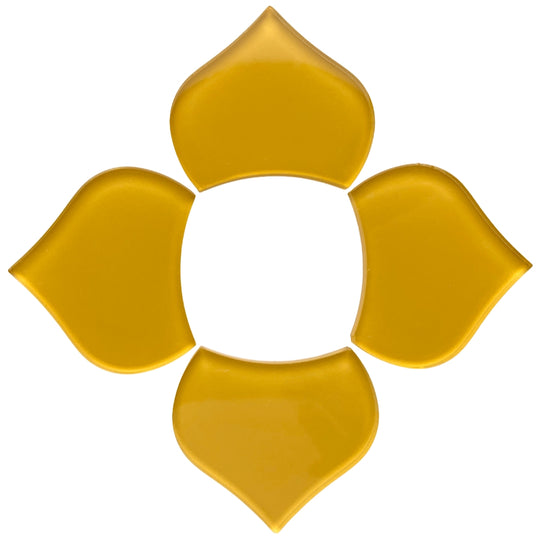 Grande Scaglia di Pesce Mais