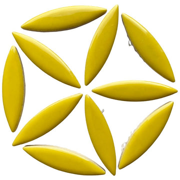 Elipsa Citron