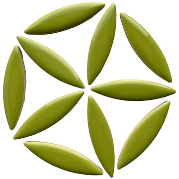 Elipsa Kiwi