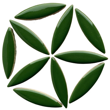 Elipsa Eukalyptus