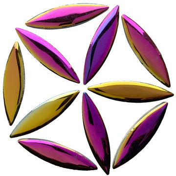 Elipsa Disco