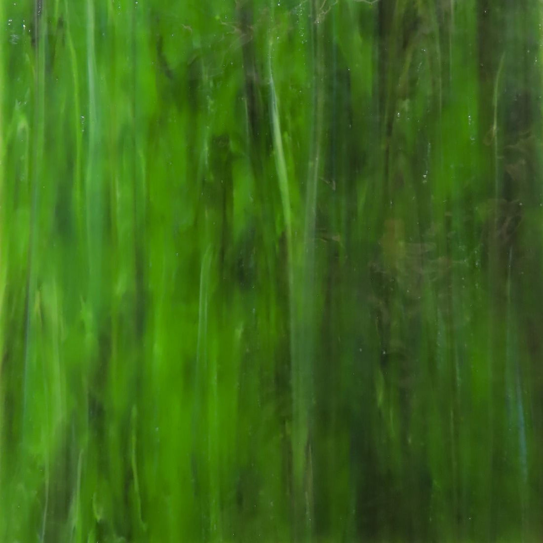 Lastra di vetro con texture verde foresta