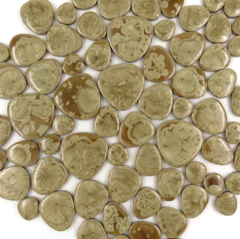 Ciottoli fossili (sfusi)