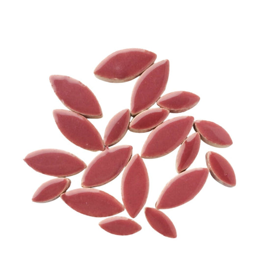 Okvětní lístky tmavě švestkové barvy