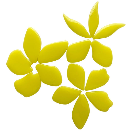 Bloemblaadjes Glas Geelzuur