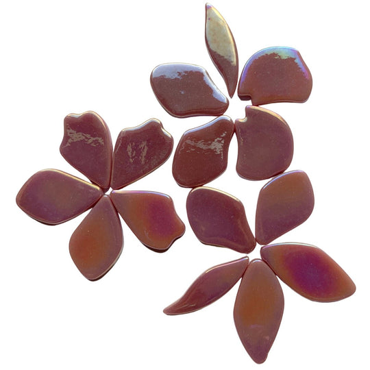 Pétales  Nacrées Framboise