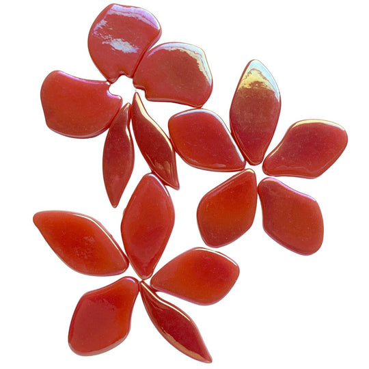 Pétales  Nacrées Orange Rouge