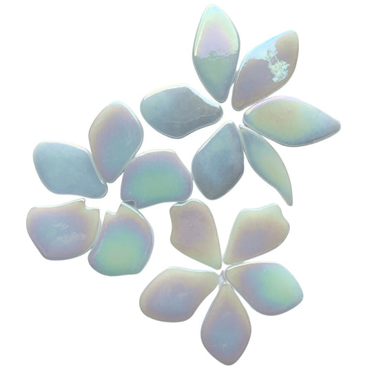 Pétales  Nacrées Blanc