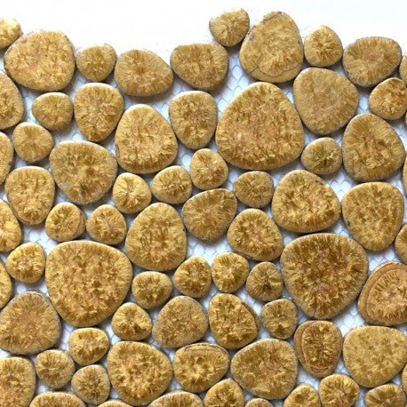 Ciottoli  Roccia Dorata