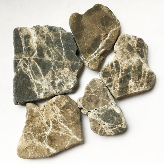 Marmo Poligono Emperador