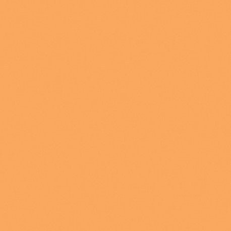 Mosa-18940 Albaricoque 15cm