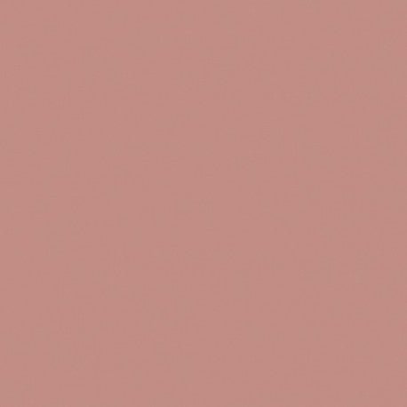 Mosa-18980 Mořská lastura Růžová 15cm